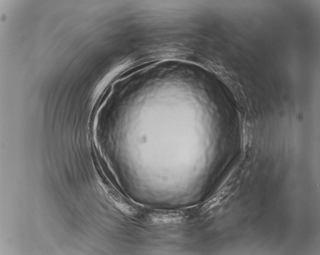 X0000057060147200509231541