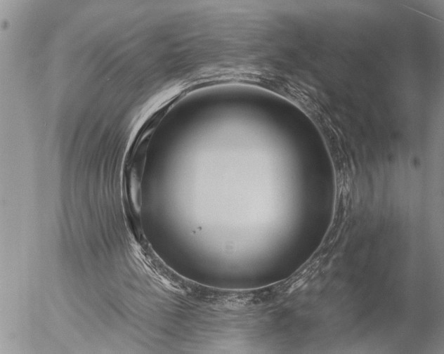 X0000057060148200509231541