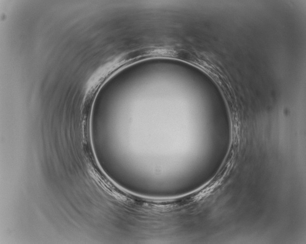 X0000057060149200509231541