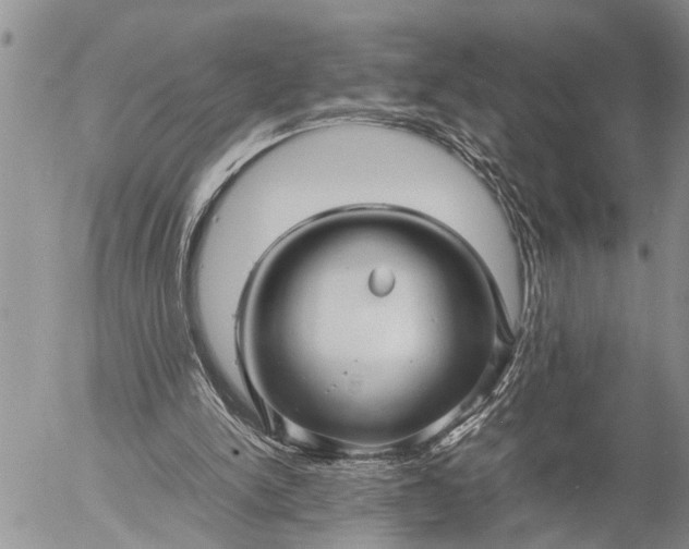 X0000057060150200509231541