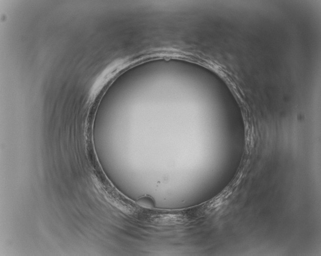 X0000057060151200509231541