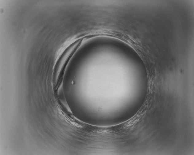 X0000057060152200509231541