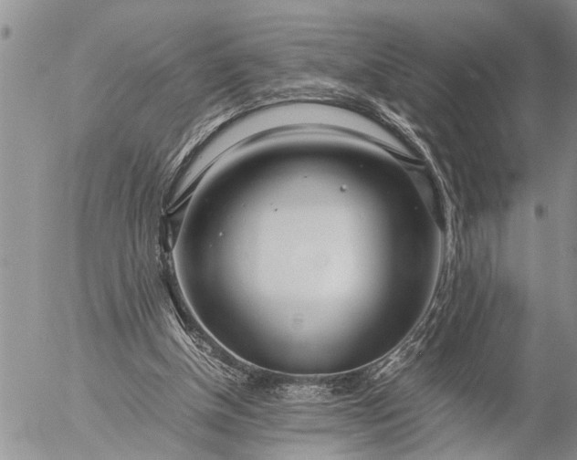 X0000057060154200509231541