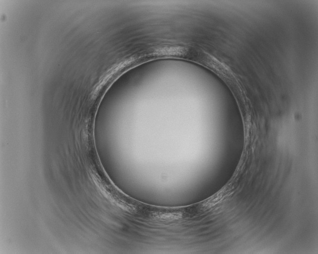 X0000057060155200509231541