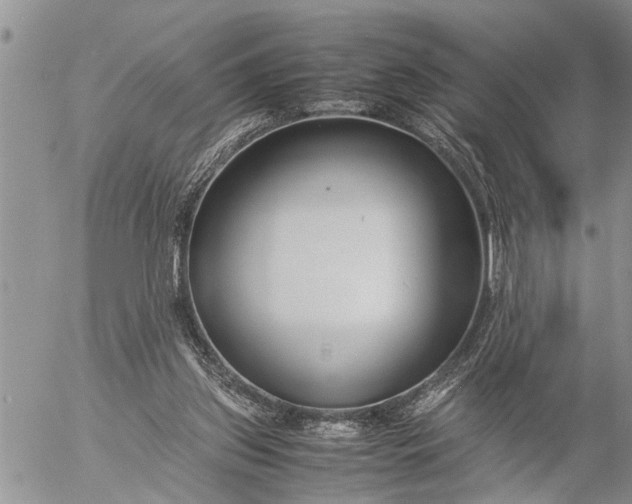 X0000057060157200509231541