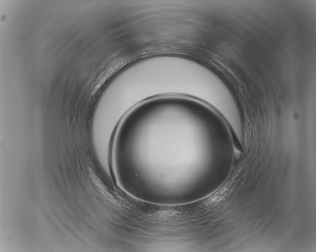 X0000057060158200509231541