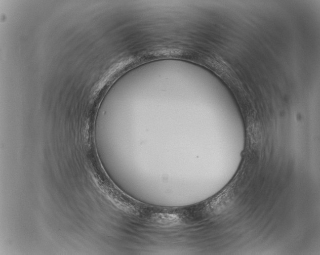 X0000057060159200509231541