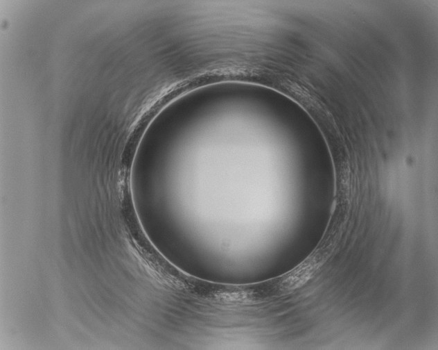 X0000057060160200509231541