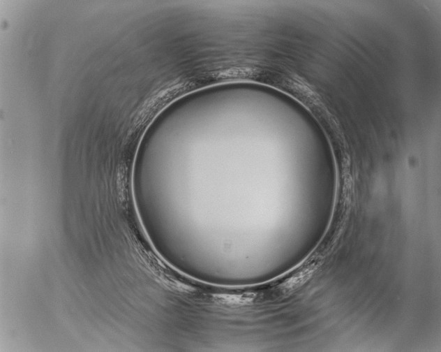 X0000057060161200509231541