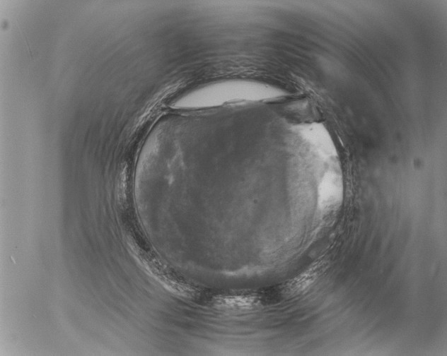 X0000057060163200509231541