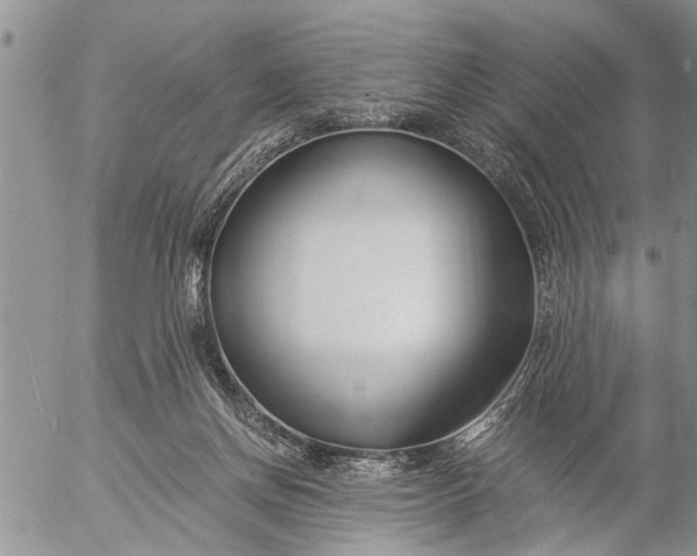 X0000057060166200509231541