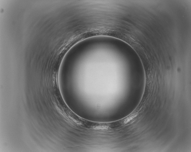 X0000057060168200509231541