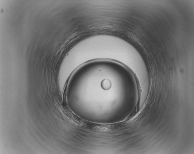 X0000057060170200509231541