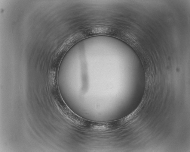 X0000057060171200509231541