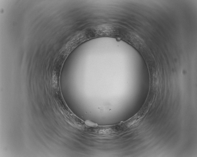 X0000057060173200509231541