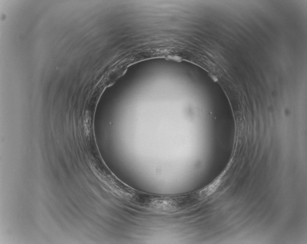 X0000057060174200509231541