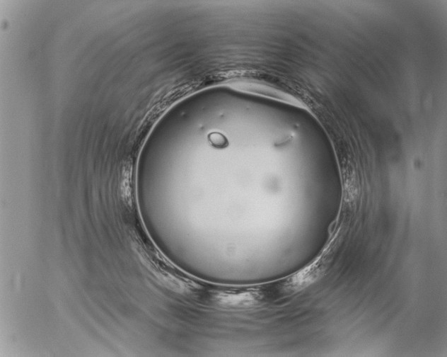 X0000057060175200509231541