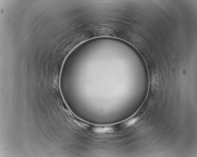 X0000057060177200509231541