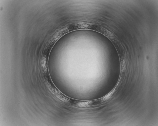 X0000057060178200509231541