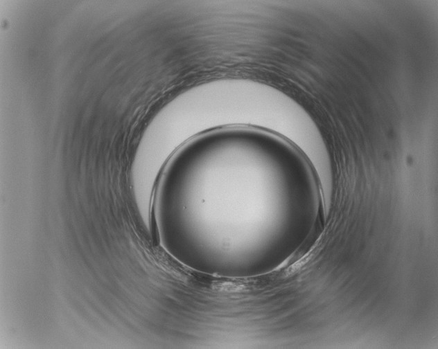 X0000057060180200509231541