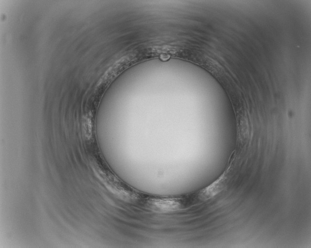 X0000057060183200509231541