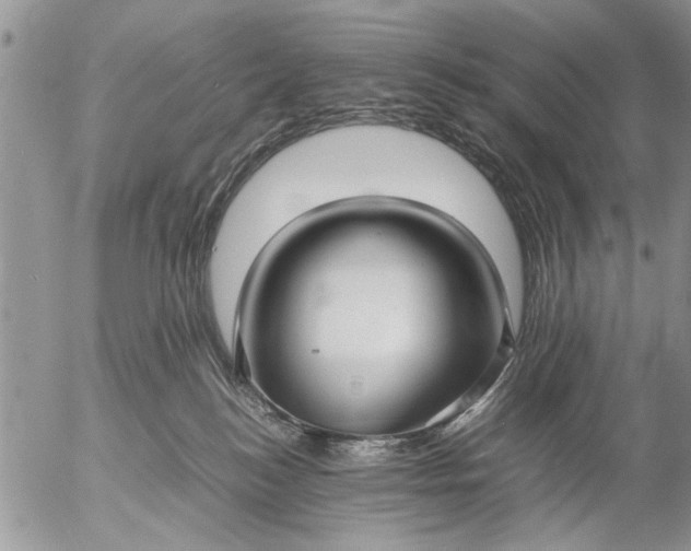 X0000057060184200509231541