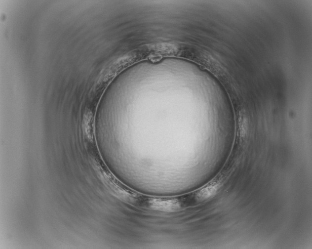 X0000057060185200509231541