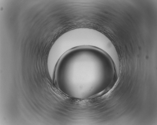 X0000057060186200509231541