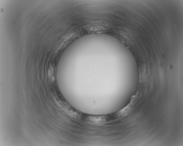 X0000057060187200509231541