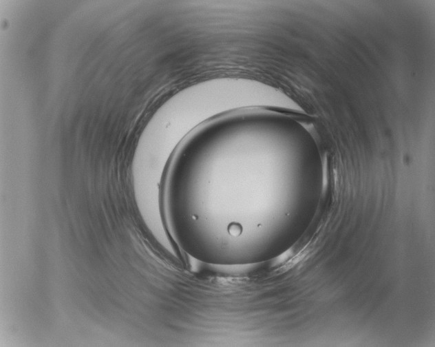 X0000057060188200509231541