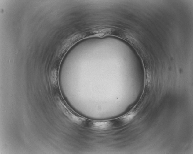 X0000057060189200509231542