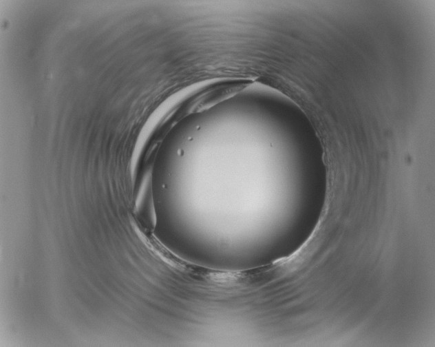 X0000057060192200509231542