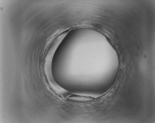 X0000057060193200509231541