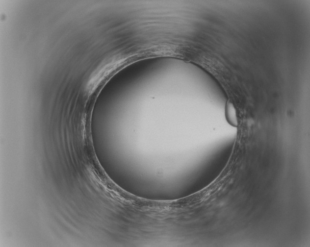 X0000057060194200509231541