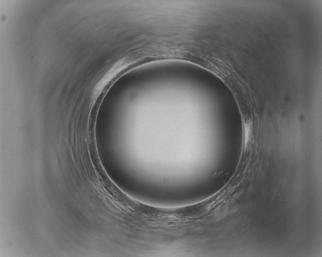 X0000057060195200509231541