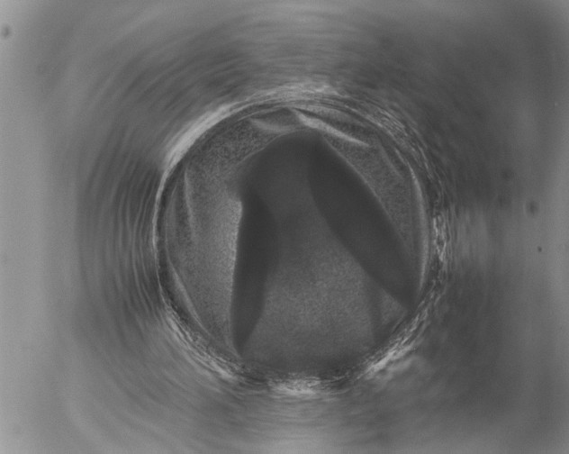 X0000057060196200509231541