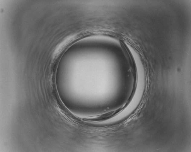 X0000057060197200509231541