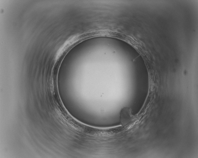 X0000057060198200509231541