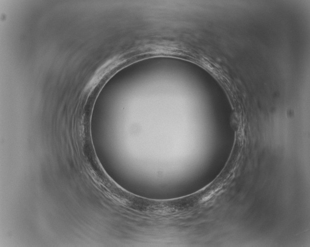 X0000057060199200509231541