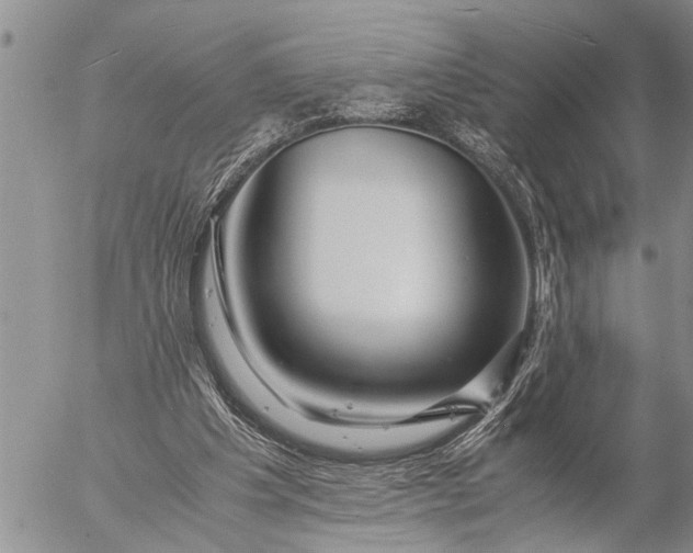 X0000057060201200509231541