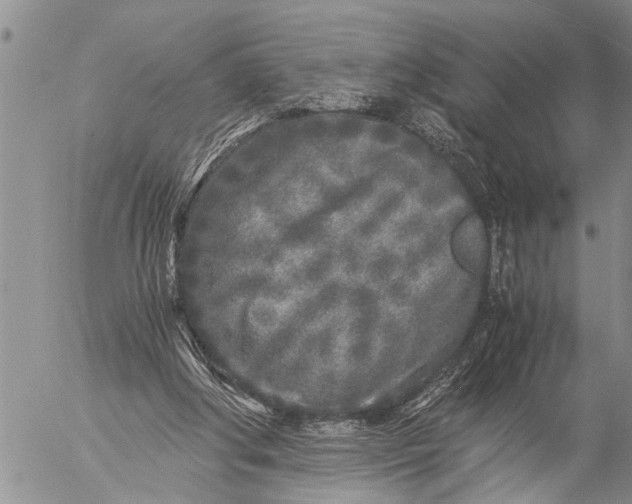 X0000057060202200509231541