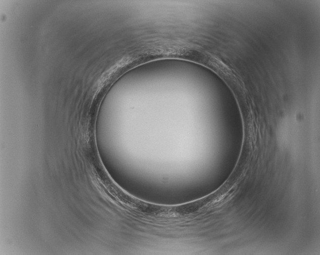 X0000057060203200509231541