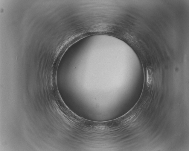 X0000057060204200509231541