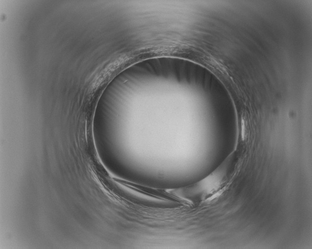 X0000057060205200509231541