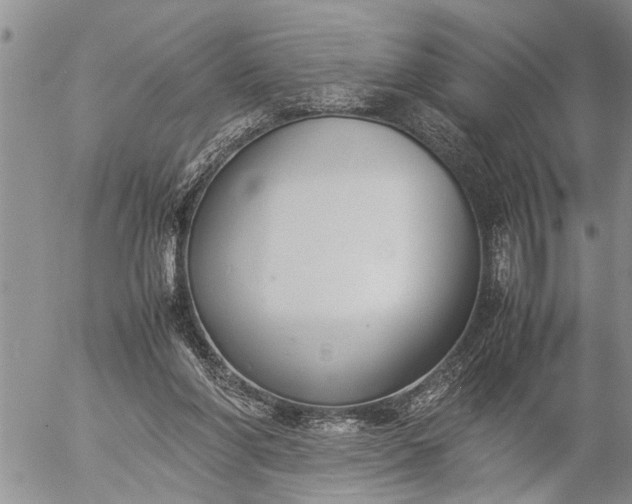 X0000057060206200509231541