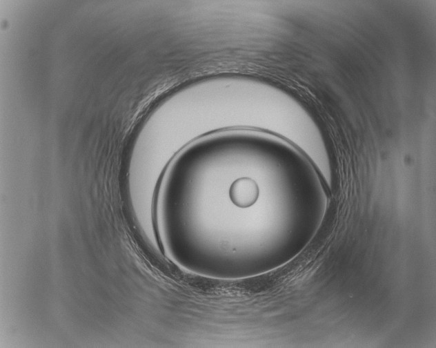 X0000057060207200509231541