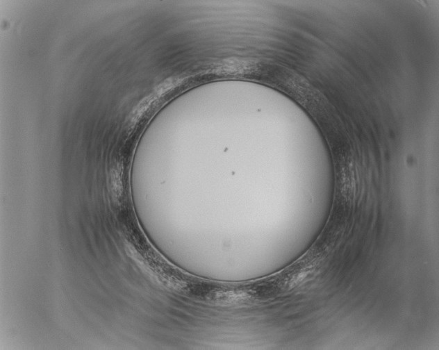 X0000057060208200509231541