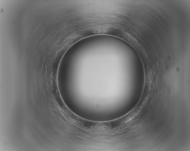 X0000057060209200509231540