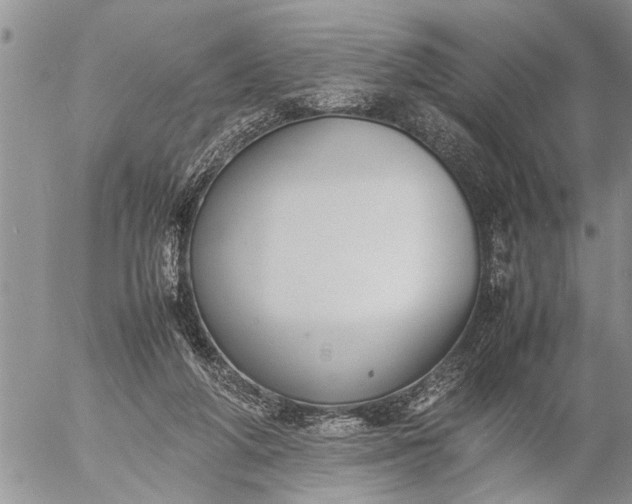 X0000057060210200509231540