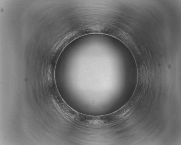 X0000057060212200509231540